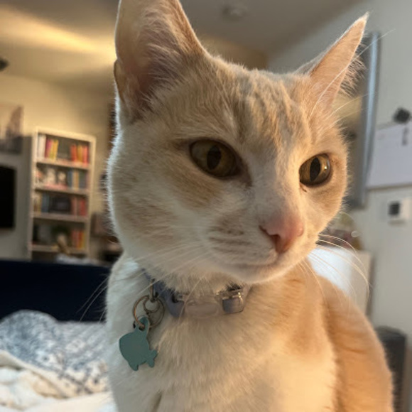 isabelmay1214